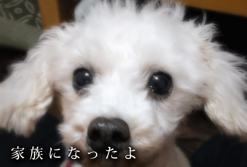 f:id:masami_takasu:20210105174521g:plain
