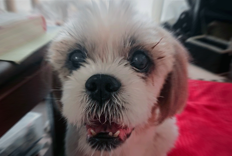 f:id:masami_takasu:20210109222204g:plain