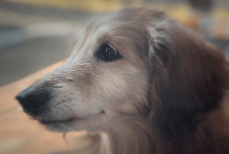 f:id:masami_takasu:20210109223034g:plain