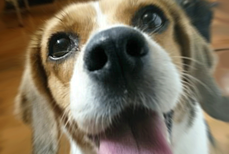 f:id:masami_takasu:20210121165927g:plain