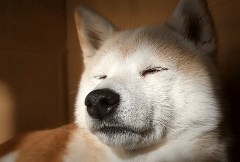 f:id:masami_takasu:20210121171451g:plain