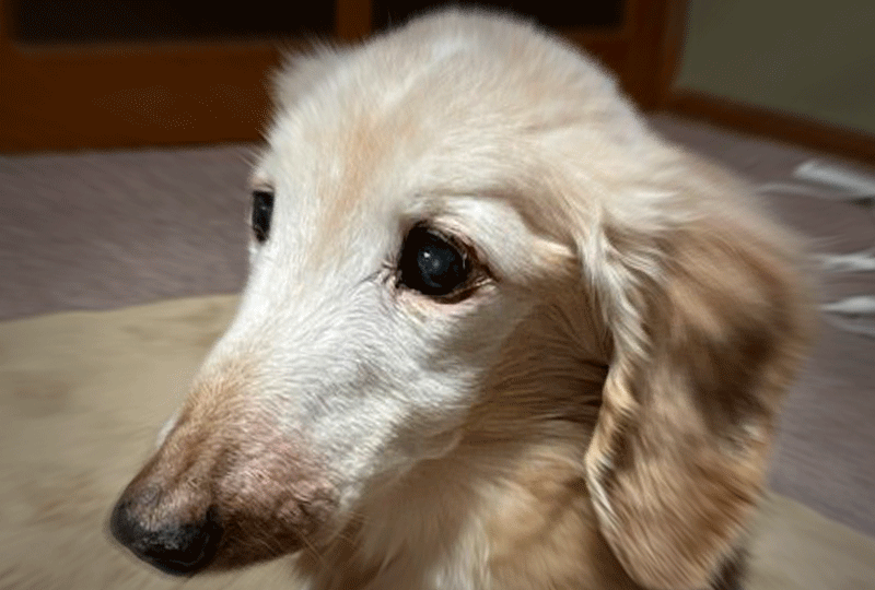 f:id:masami_takasu:20210123085031g:plain