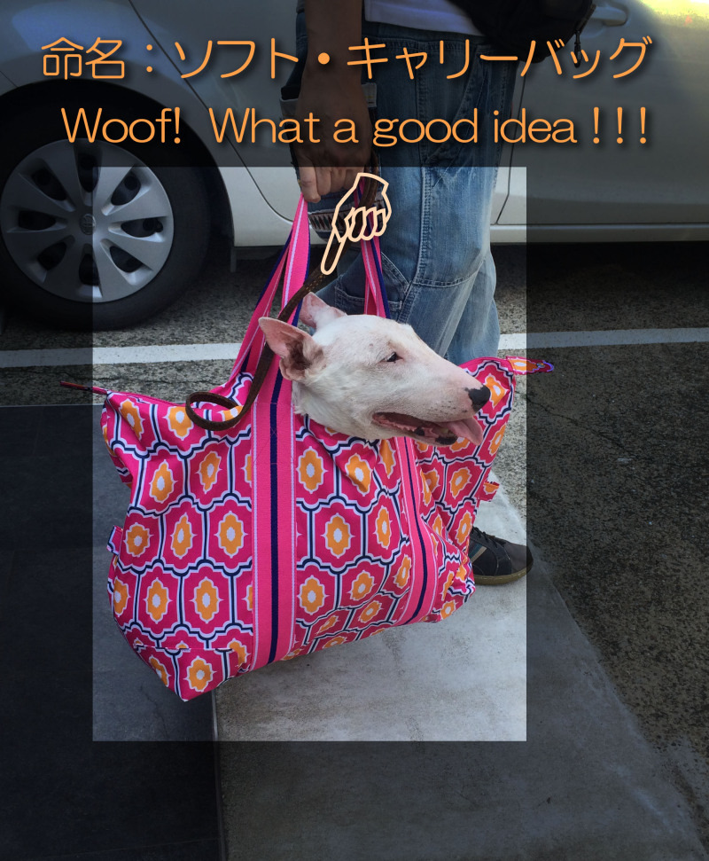 ソフトキャリーバッグ