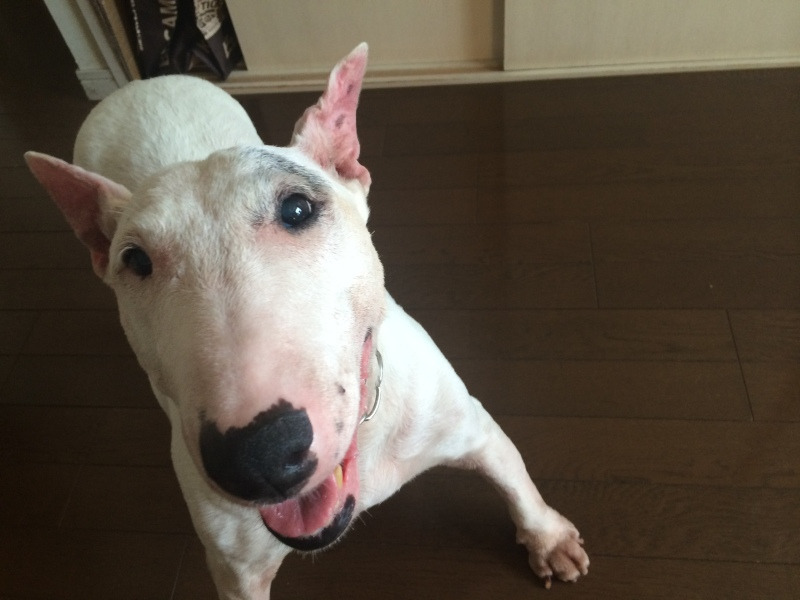 f:id:masami_takasu:20210203020029j:plain