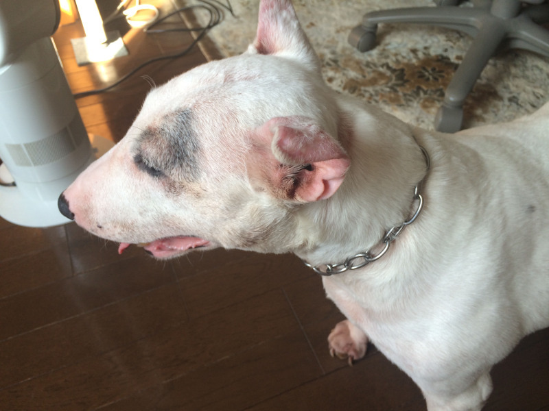 f:id:masami_takasu:20210203020032j:plain