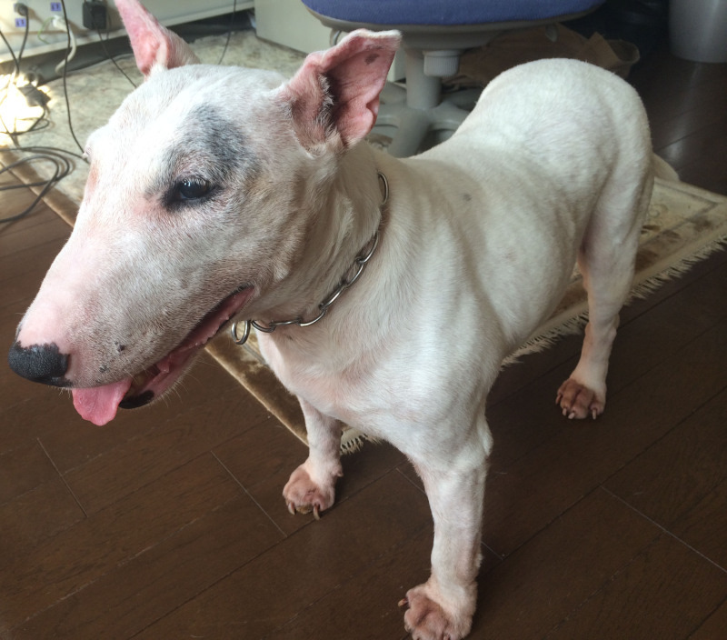 f:id:masami_takasu:20210203020035j:plain