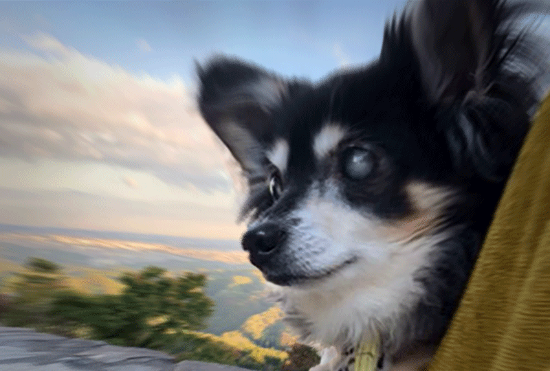 f:id:masami_takasu:20210204125336g:plain