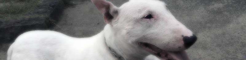 f:id:masami_takasu:20210204132203j:plain