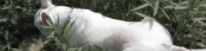 f:id:masami_takasu:20210204133741j:plain