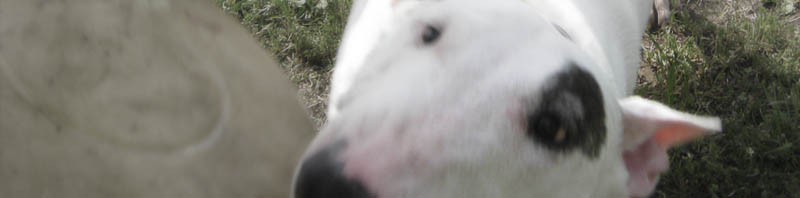 f:id:masami_takasu:20210204161626j:plain