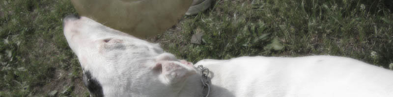 f:id:masami_takasu:20210204162453j:plain