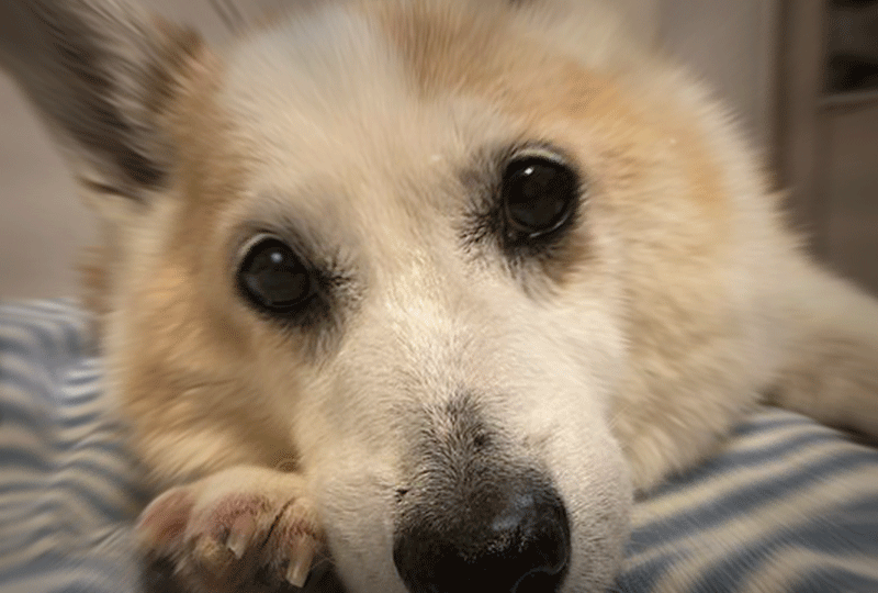 f:id:masami_takasu:20210211073334g:plain