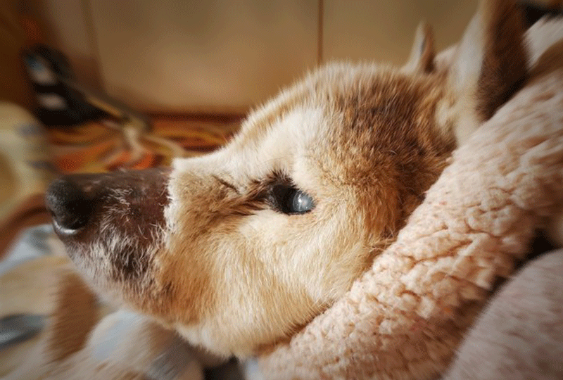 f:id:masami_takasu:20210214152055g:plain