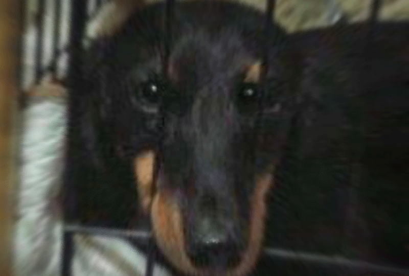 f:id:masami_takasu:20210214152438g:plain