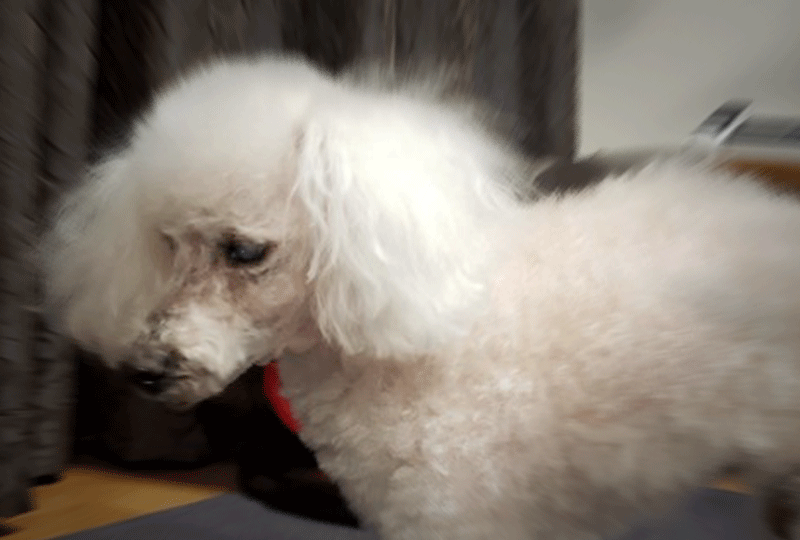 f:id:masami_takasu:20210219071220g:plain