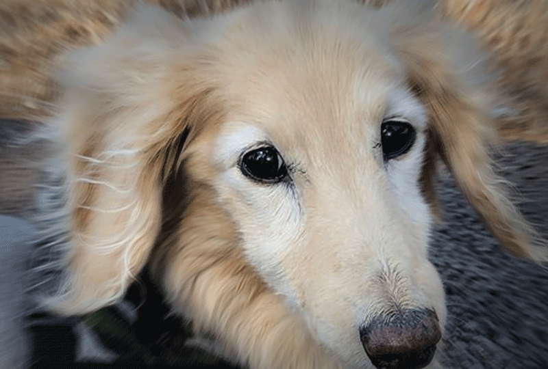 f:id:masami_takasu:20210228064636g:plain