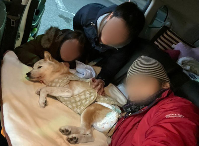 f:id:masami_takasu:20210425114951j:plain