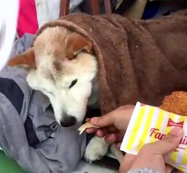 f:id:masami_takasu:20210425131754j:plain