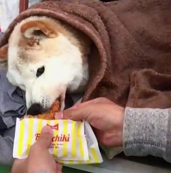 f:id:masami_takasu:20210508084334j:plain