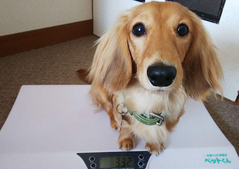 f:id:masami_takasu:20210607140030j:plain