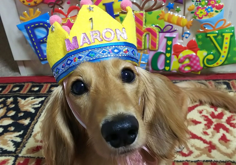 f:id:masami_takasu:20210607140108j:plain