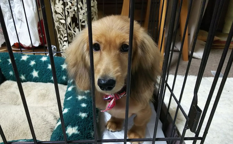 f:id:masami_takasu:20210607140221j:plain