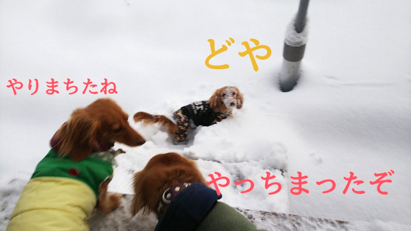 f:id:masami_takasu:20210607141413j:plain