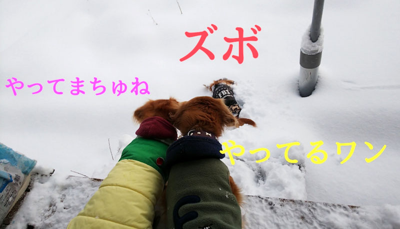 f:id:masami_takasu:20210607141416j:plain