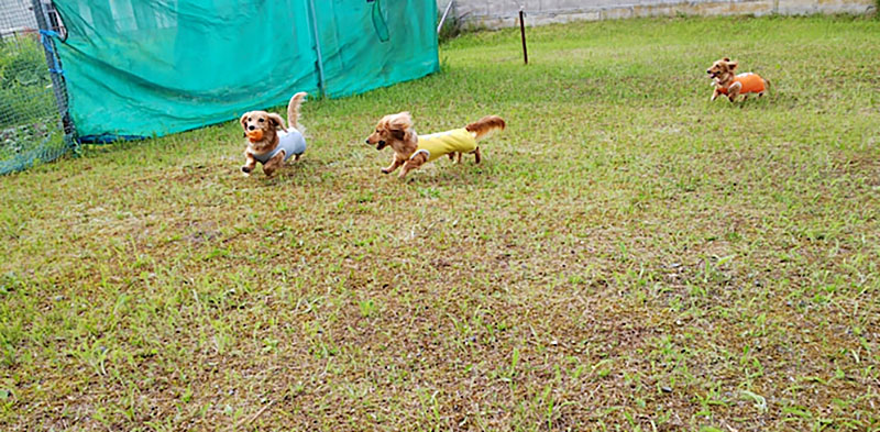 f:id:masami_takasu:20210607141705j:plain