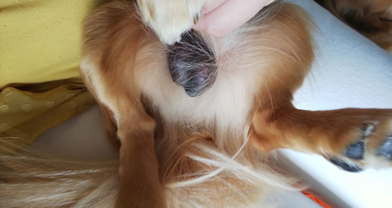 f:id:masami_takasu:20210607141720j:plain