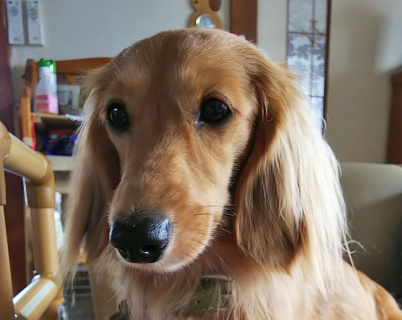 f:id:masami_takasu:20210607141956j:plain