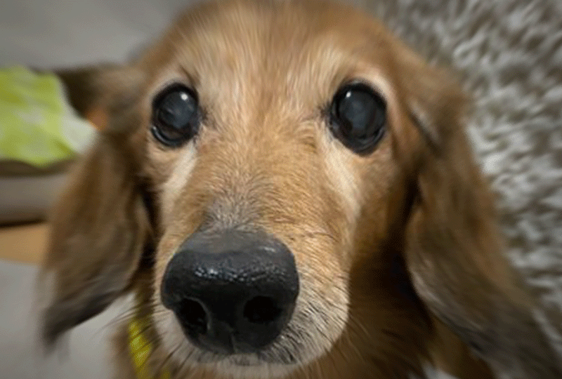 f:id:masami_takasu:20210708165349g:plain