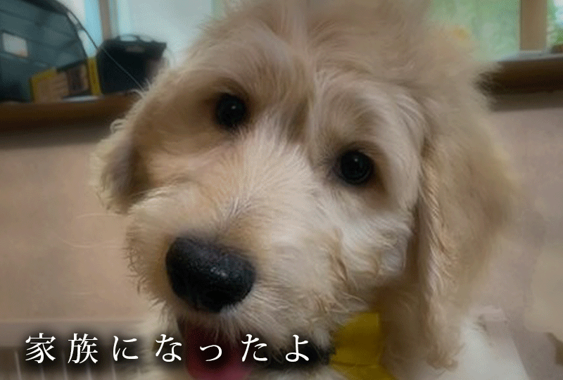 f:id:masami_takasu:20210710062429g:plain