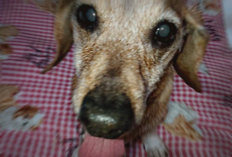 f:id:masami_takasu:20210805140523g:plain