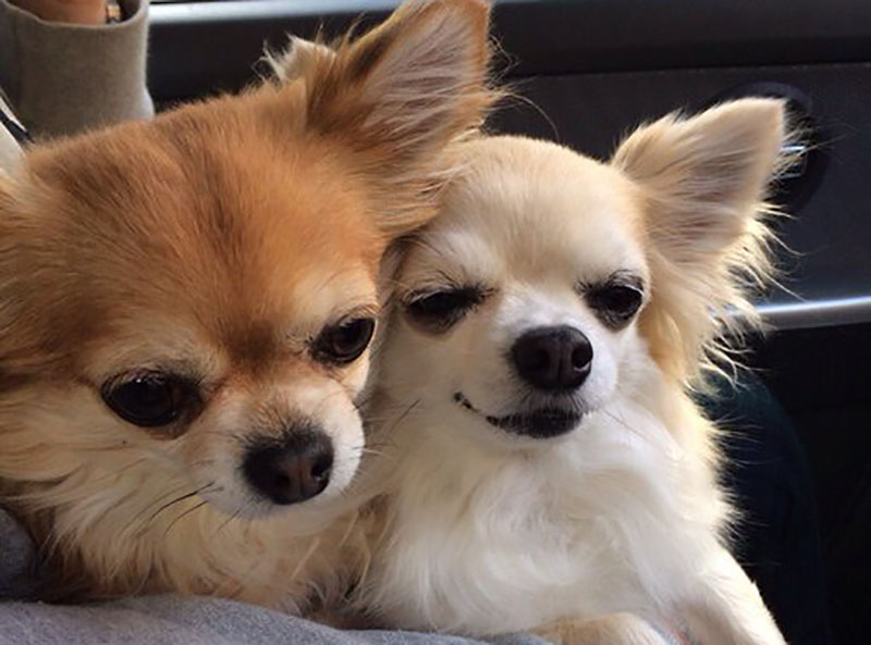 f:id:masami_takasu:20210820154334j:plain