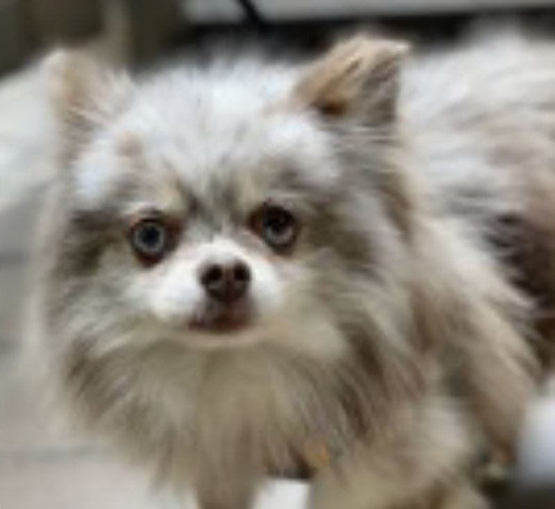 f:id:masami_takasu:20210820154612j:plain