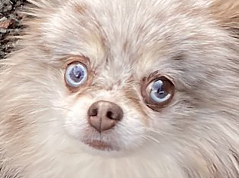 f:id:masami_takasu:20210820154856j:plain