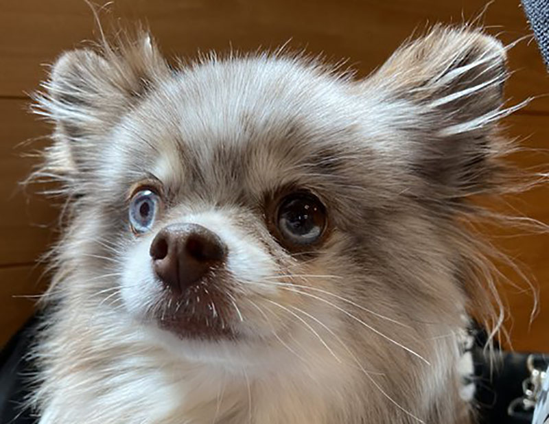 f:id:masami_takasu:20210820155158j:plain