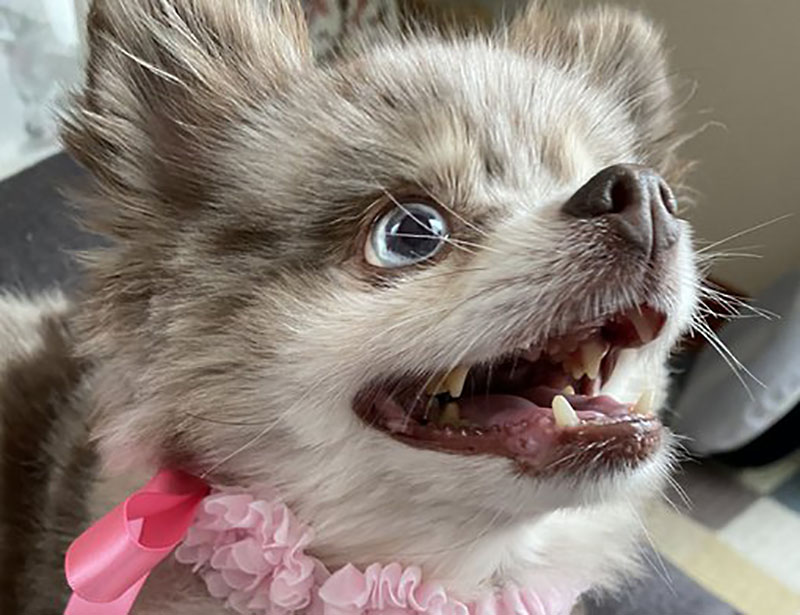 f:id:masami_takasu:20210820155429j:plain