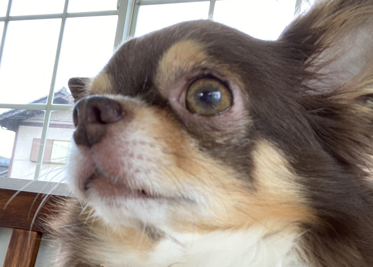 f:id:masami_takasu:20210820160245j:plain