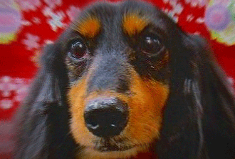 f:id:masami_takasu:20210829063407g:plain