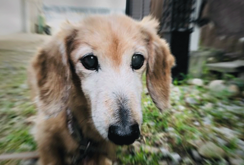 f:id:masami_takasu:20210905075810g:plain