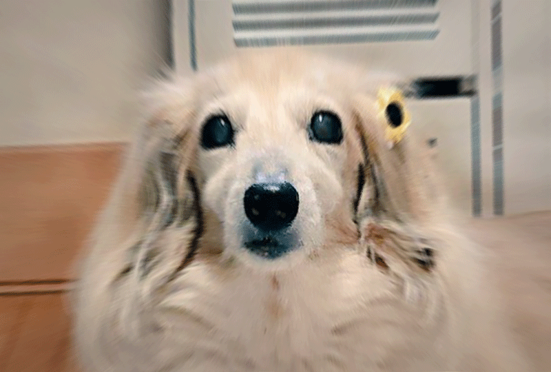 f:id:masami_takasu:20210911082030g:plain