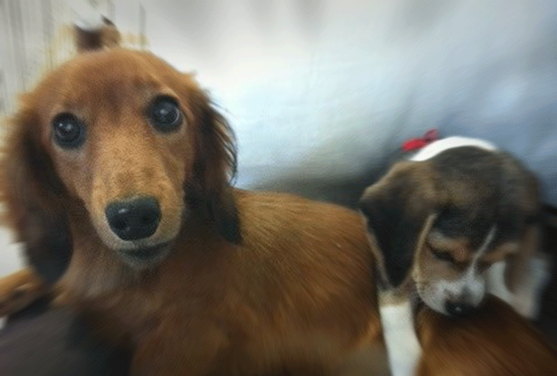 f:id:masami_takasu:20210911082403g:plain