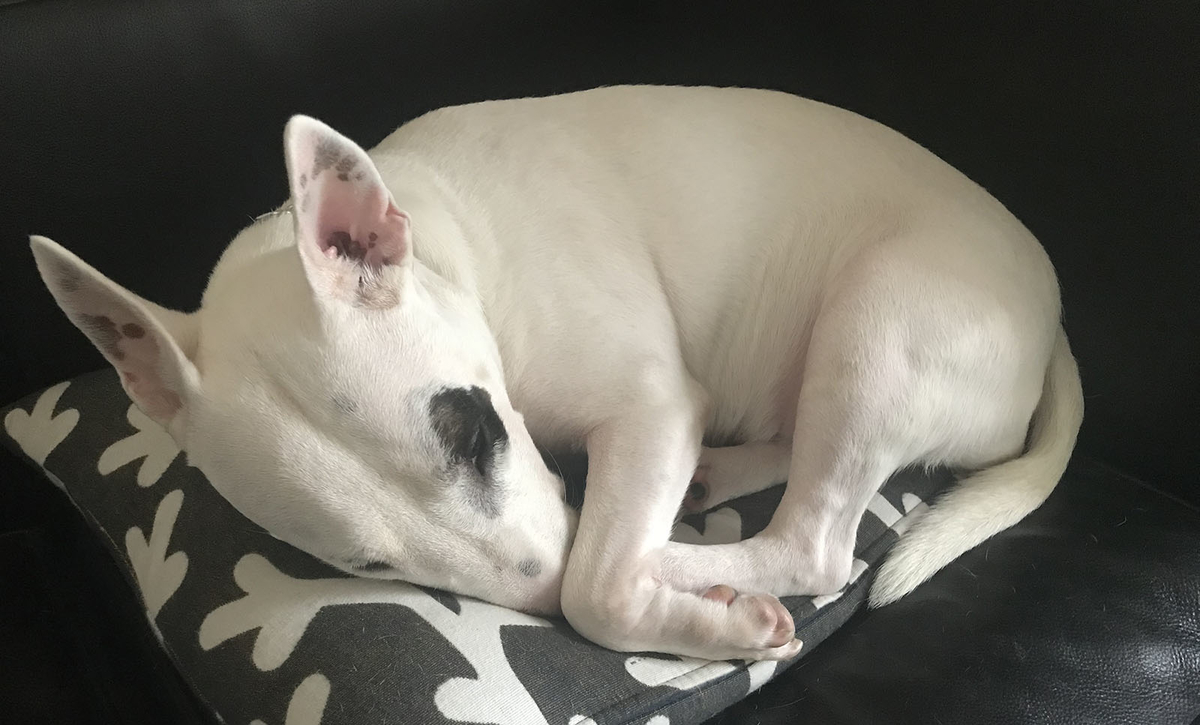 f:id:masami_takasu:20210912072908j:plain