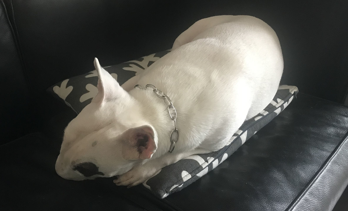 f:id:masami_takasu:20210912072928j:plain