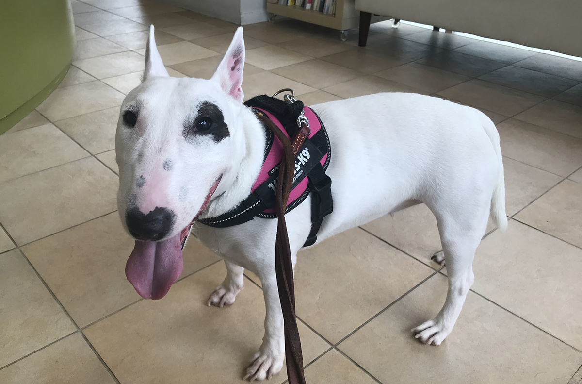 f:id:masami_takasu:20210912082123j:plain