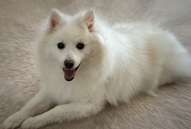 f:id:masami_takasu:20210922092921g:plain