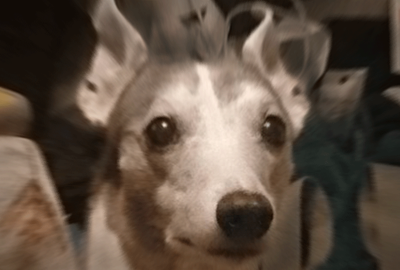 f:id:masami_takasu:20210928005725g:plain