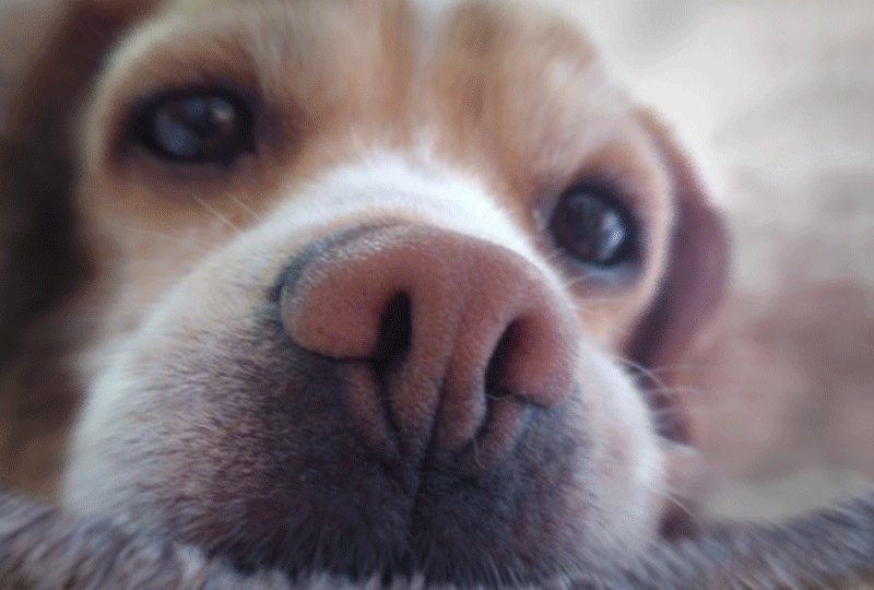 f:id:masami_takasu:20211008081058g:plain